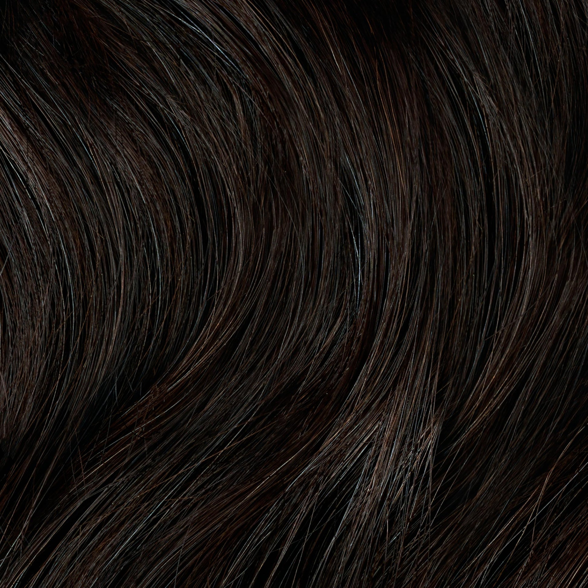 Black Clairol Professional Permanent Liquicolor, 3GN Medium Gold Neutral Brown, 2 Fl Oz - Packaging May Vary