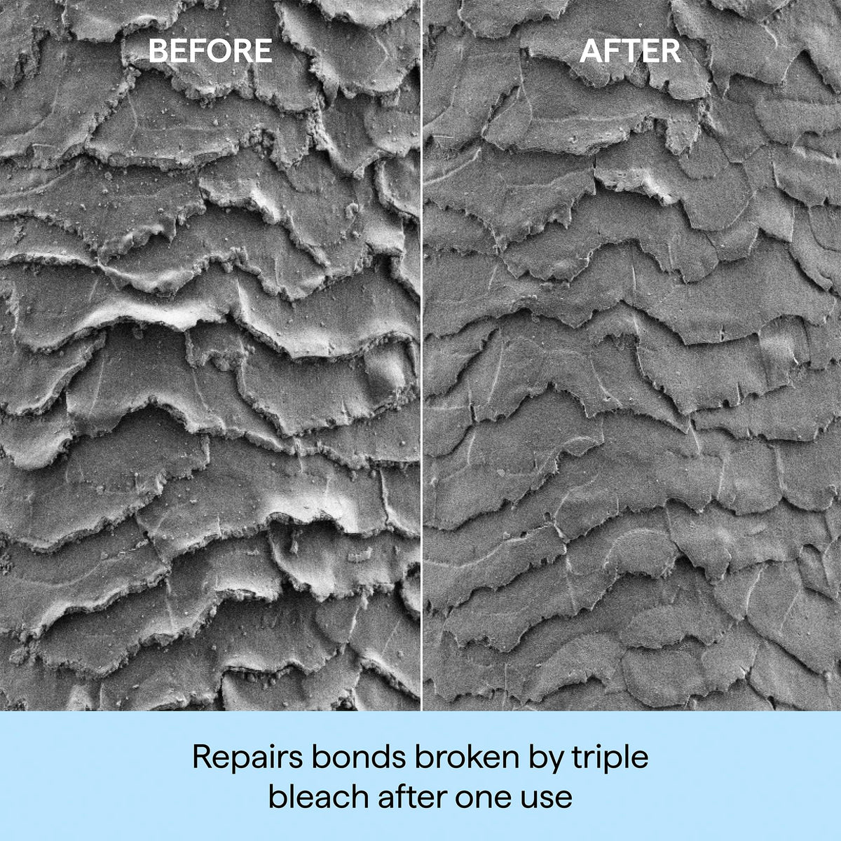 Dim Gray Briogeo Don't Despair, Repair! Deep Conditioning Hair Mask