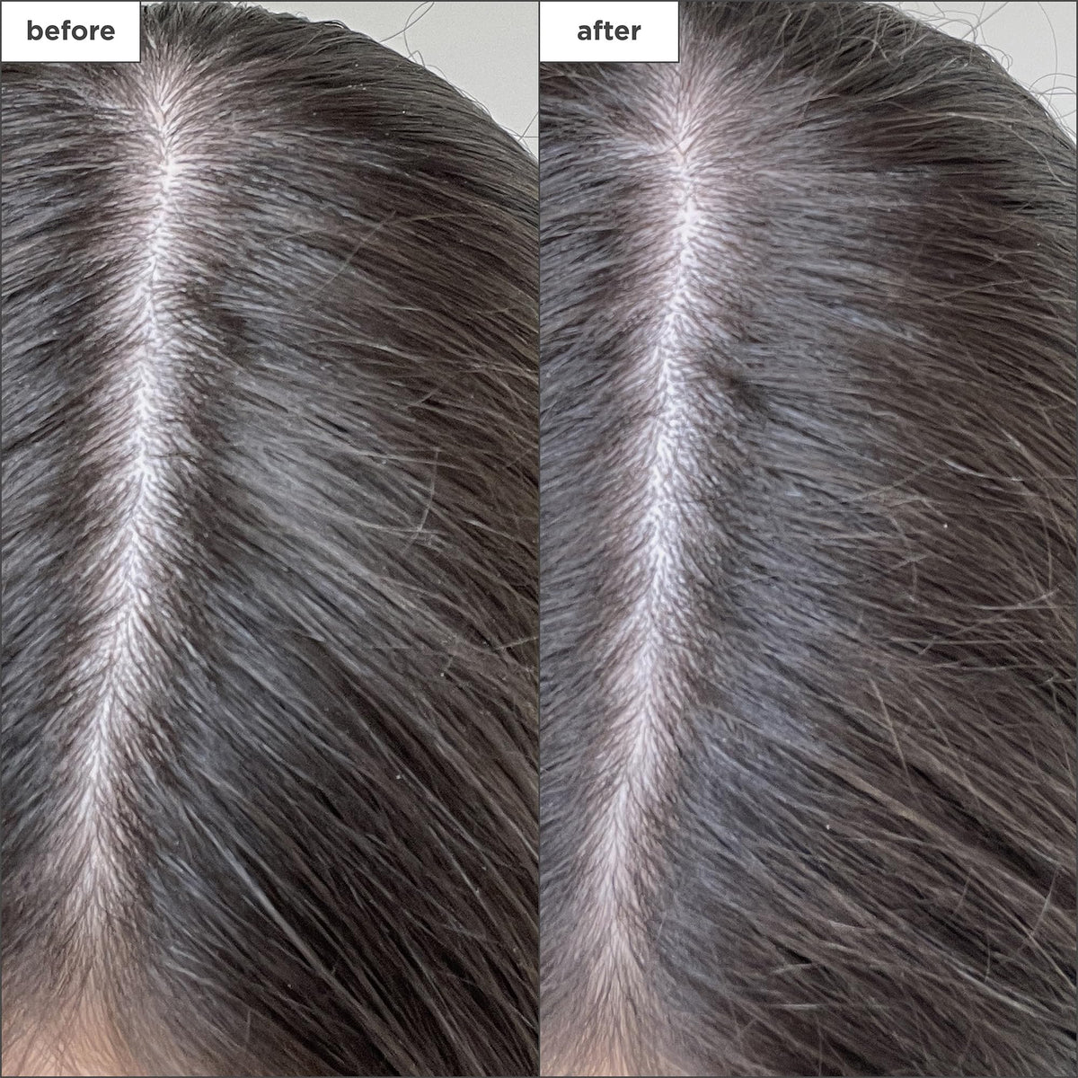 Dim Gray Briogeo Scalp Revival Charcoal + Biotin Dry Shampoo | Non-Aerosol Powder
