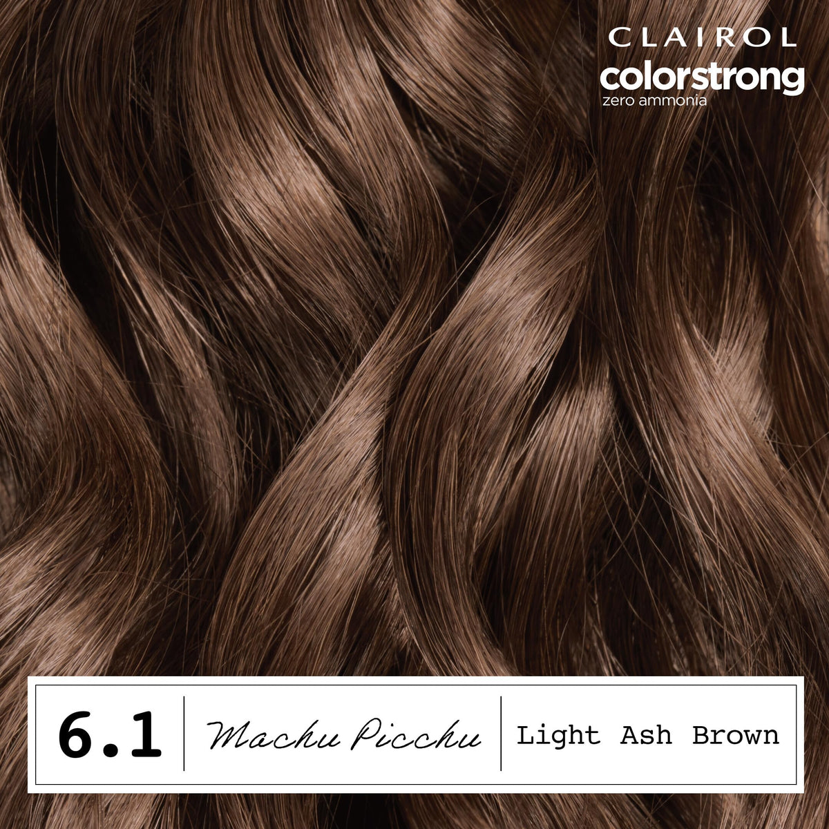 Dark Slate Gray Clairol ColorStrong Permanent Hair Dye Ammonia-Free, 6.1 Light Ash Brown