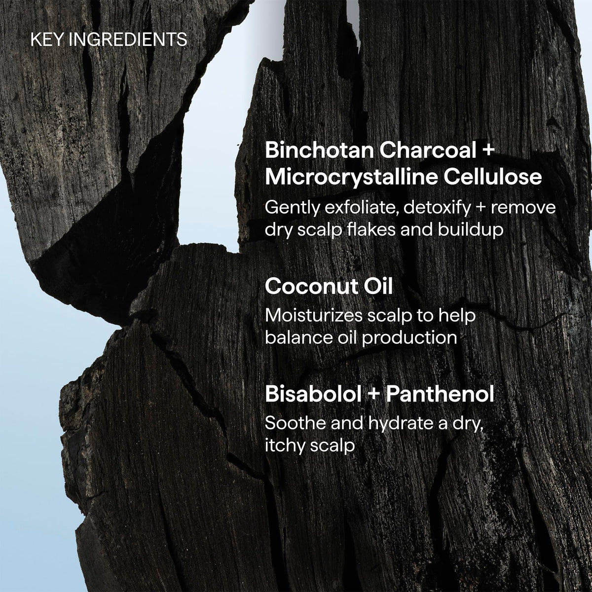 Black Briogeo Scalp Revival Charcoal + Coconut Oil Micro-Exfoliating Shampo