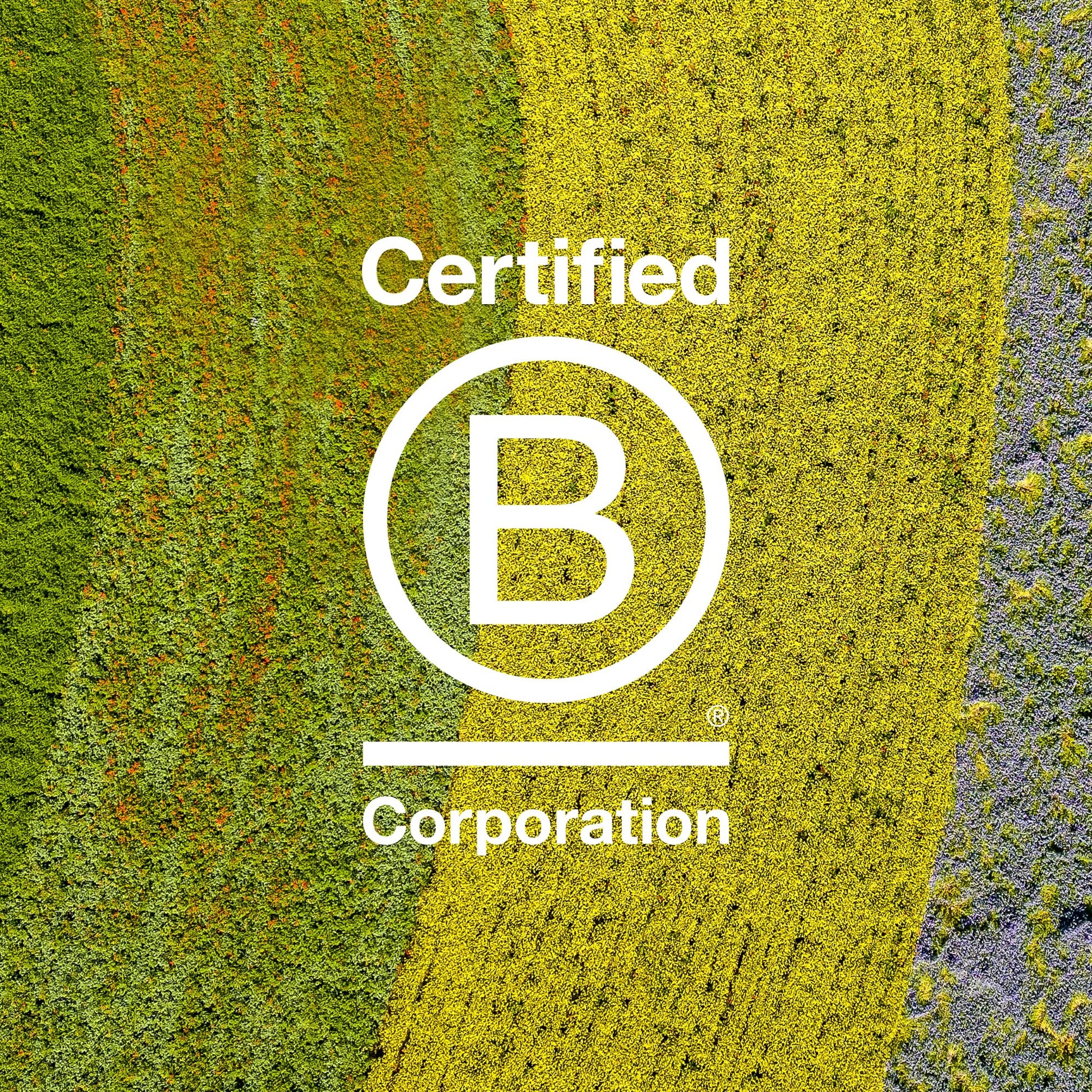 Dark Goldenrod Davines MOMO Conditioner, Moisturizing Untangling Formula for Dry and Dehydrated Hair - Promoting Lasting Hydration, Softness, and Shine with Melon Extract, Travel Size, 2.54 Fl Oz