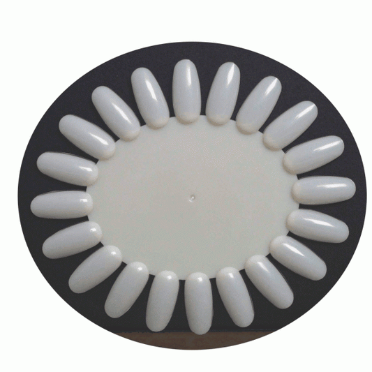 White Smoke Berkeley Polish Color Display Oval 20Tips - Natural PD102NT