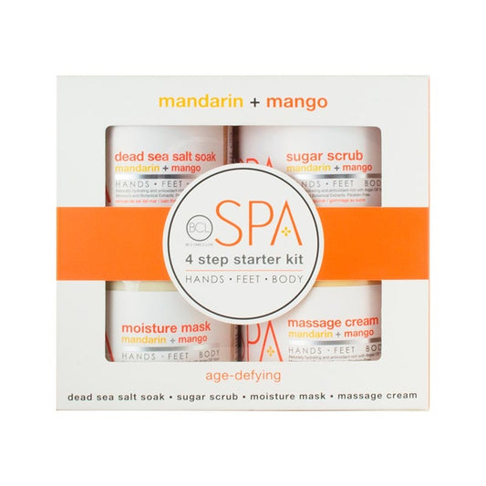 Lavender BCL Spa  Mandarin and Mango Starter Kit  16oz