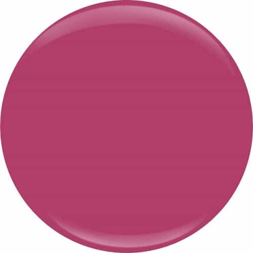 Maroon Entity D&B Color Powder 0.8 oz - Vintage Silhouette